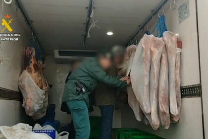 Intervenidas más de 50 toneladas de alimentos y productos no aptos para el consumo