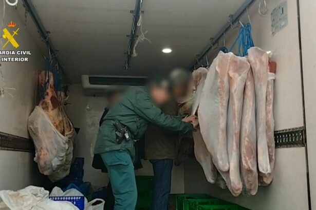 Intervenidas más de 50 toneladas de alimentos y productos no aptos para el consumo