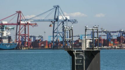 Valenciaport adapta sus puertos al cambio climático