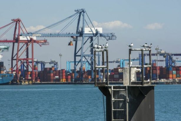 Valenciaport adapta sus puertos al cambio climático