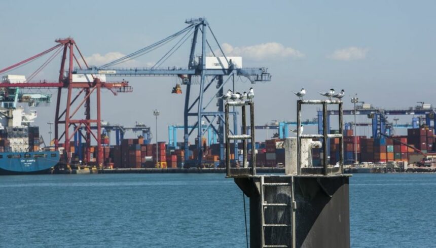 Valenciaport adapta sus puertos al cambio climático