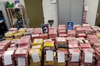 Incautan 1.145 kilos de cocaína en un camión procedente de Portugal