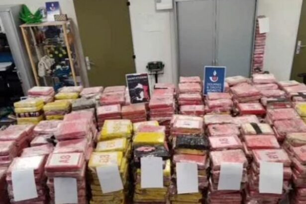 Incautan 1.145 kilos de cocaína en un camión procedente de Portugal