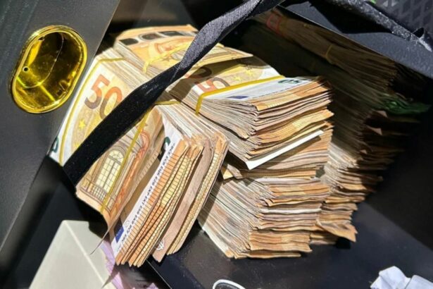 Operación policial a gran escala contra empresas de transporte en Alemania