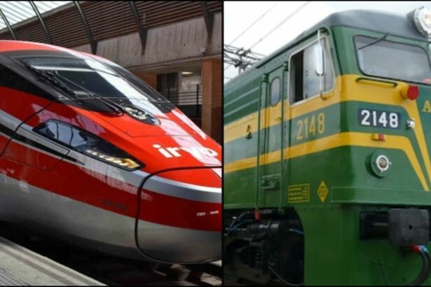 La CNMC autoriza los nuevos servicios de alta velocidad y trenes turísticos de Iryo y Alsa