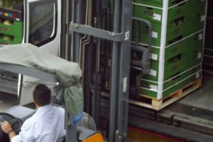 La estacionalidad en el transporte, una oportunidad para las cargas adicionales