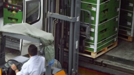 La estacionalidad en el transporte, una oportunidad para las cargas adicionales