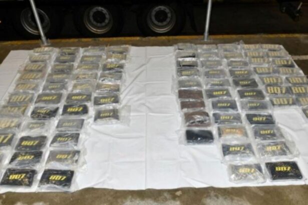 Condenado un camionero a 13 años y medio de cárcel por tráfico de cocaína