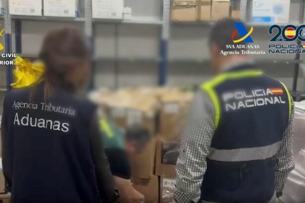 Introducían cocaína con una empresa pantalla y la colaboración de un transportista