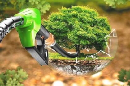 Un error del Parlamento Europeo sobre biocombustibles puede exponer a la UE a sanciones