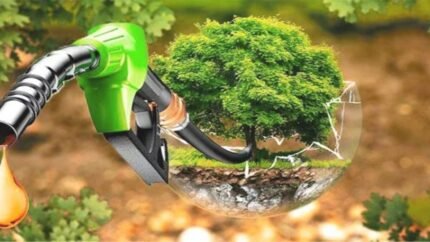 La demanda mundial de biocombustibles puede crecer casi un 70%