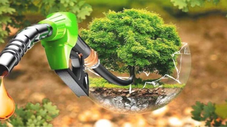 La demanda mundial de biocombustibles puede crecer casi un 70%