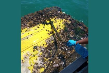 ENDFOULING, un proyecto transforma residuos portuarios en soluciones sostenibles