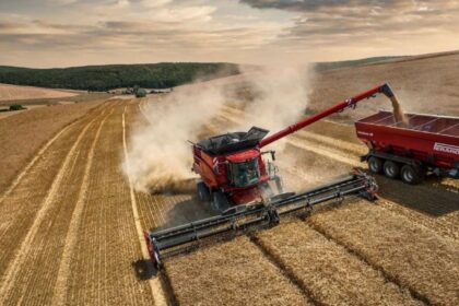 Francia está importando cada vez más harina, aunque es el que cosecha más trigo