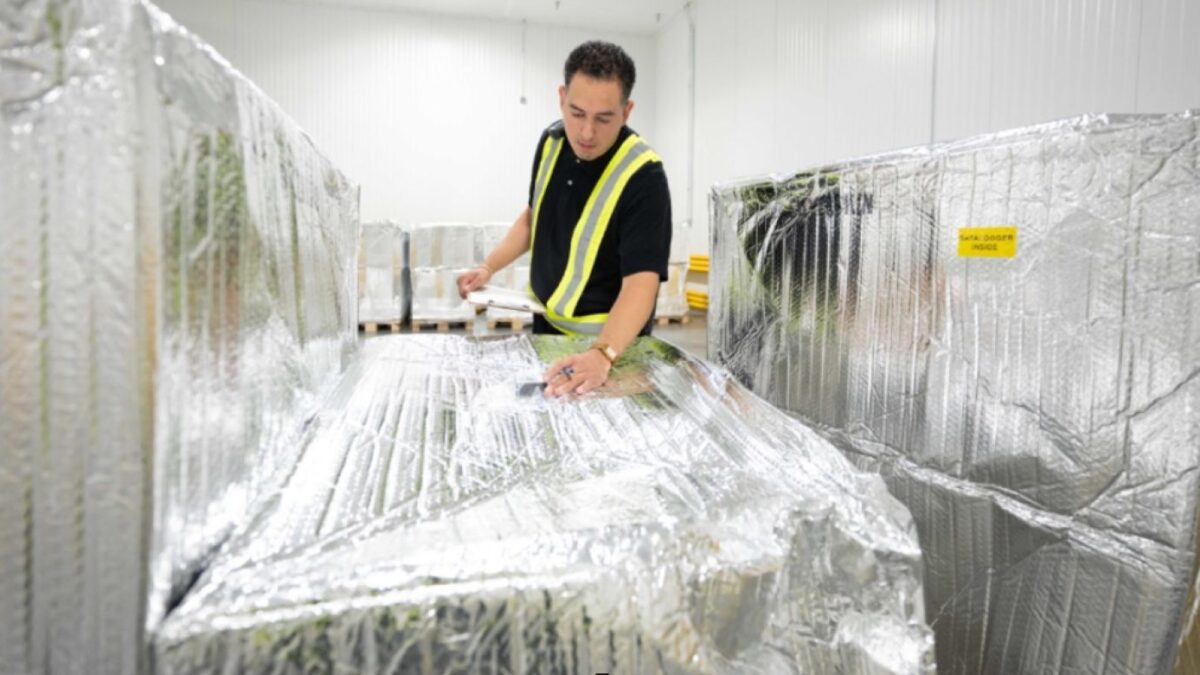 Inversión millonaria de UPS para fortalecer su red logística sanitaria con temperatura controlada