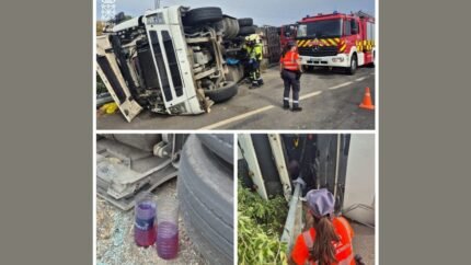 Investigado un camionero por varios delitos tras sufrir un vuelco en la N-113