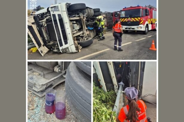 Investigado un camionero por varios delitos tras sufrir un vuelco en la N-113