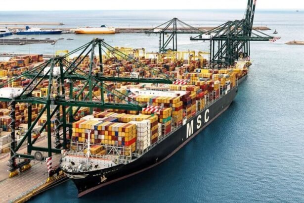 MSC niega que quiera comprar Hapag-Lloyd. Opinión