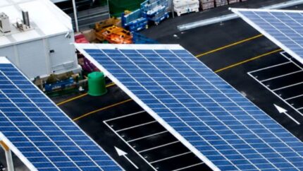 Parking solar: una inversión para empresas de transporte