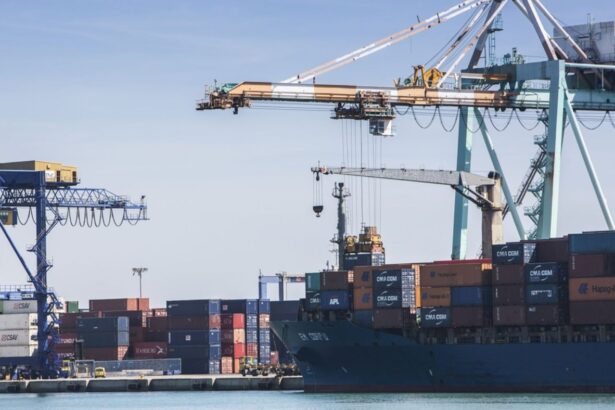 Valenciaport mantiene el tráfico de contenedores pese al descenso de los graneles