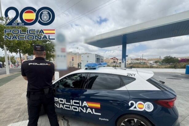 29 detenidos en Elche por estafar 18.073 euros en combustible a una empresa de transporte