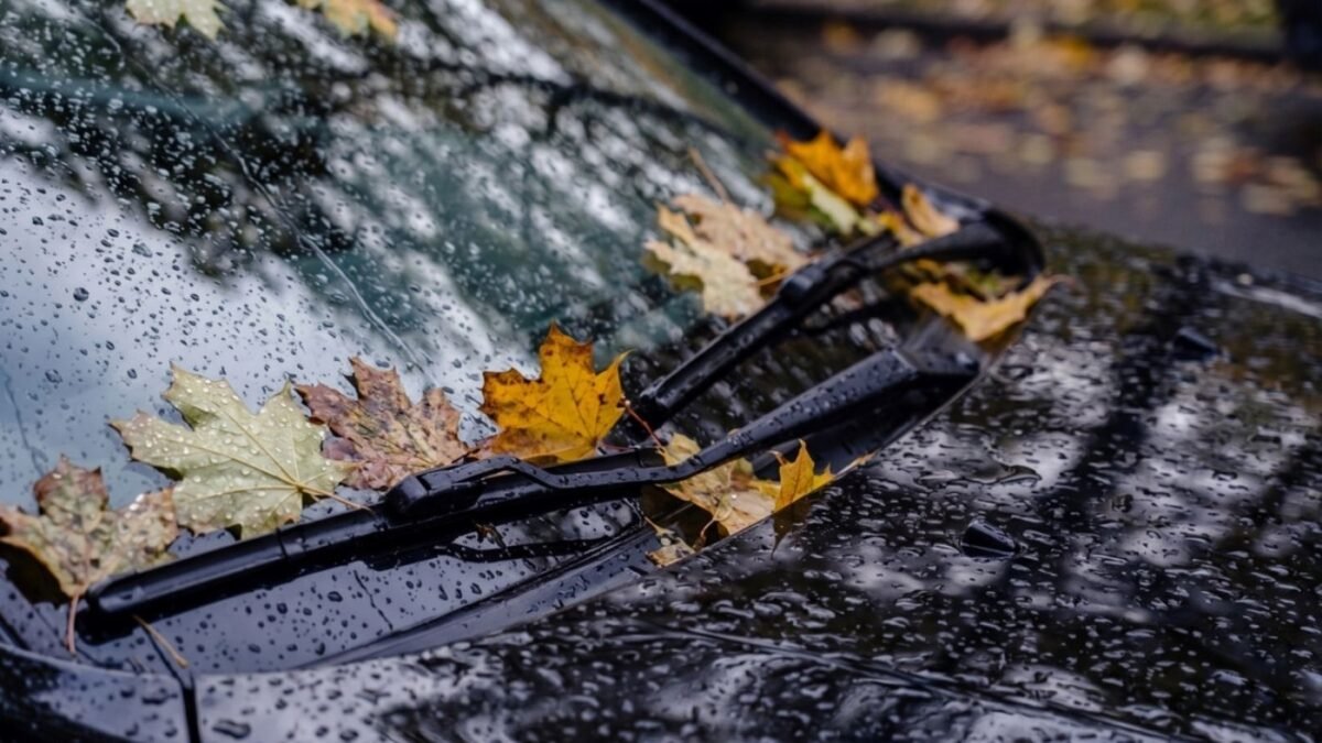 Cómo saber si tus escobillas limpiaparabrisas ya no limpian bien. Foto: Autodoc Cómo saber si tus escobillas limpiaparabrisas ya no limpian bien
