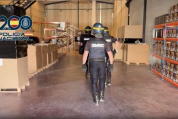 Desarticulada una organización dedicada al cultivo y transporte de marihuana a Europa en camiones. Vídeo
