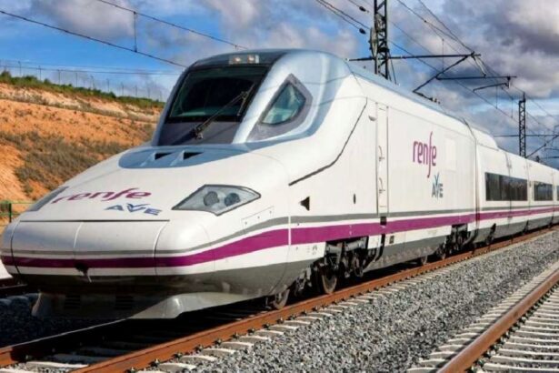 Direbús cuestiona el sobrecoste manifestado por Renfe por no tener autobuses propios
