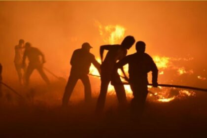 Los incendios forestales en Europa se están convirtiendo en un importante desafío para la logística