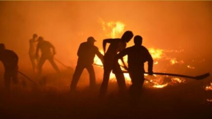 Los incendios forestales en Europa se están convirtiendo en un importante desafío para la logística